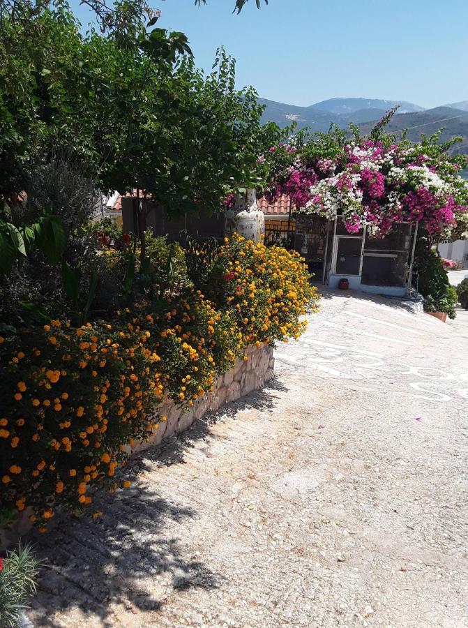 Elenh House Apartment Argostoli  Luaran gambar
