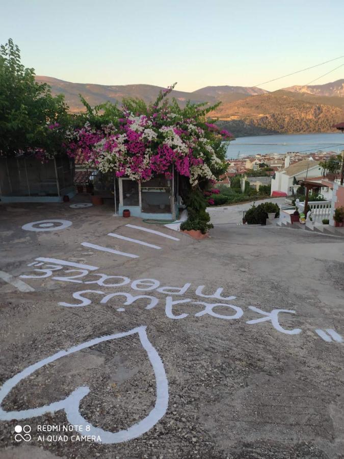 Elenh House Apartment Argostoli  Luaran gambar
