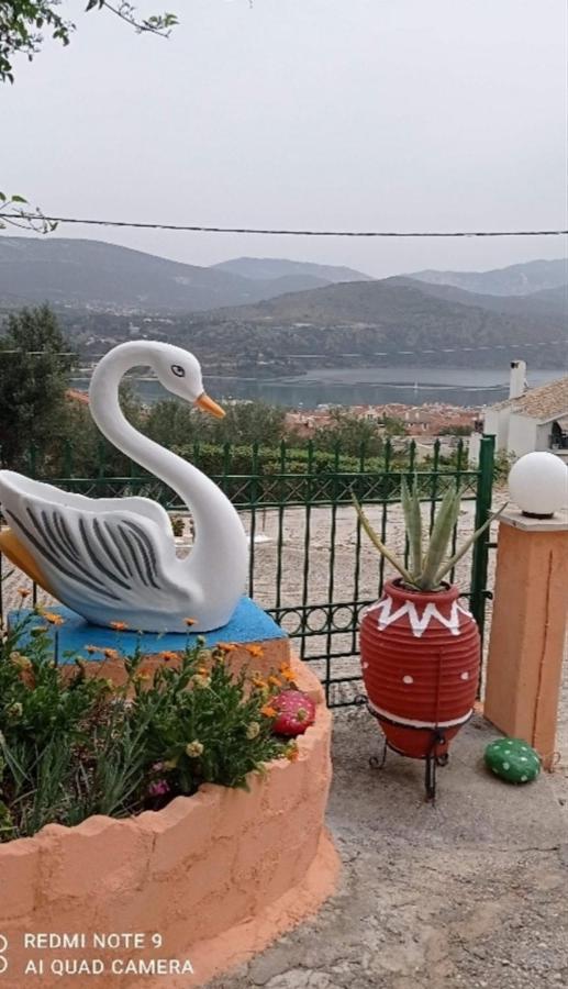 Elenh House Apartment Argostoli  Luaran gambar