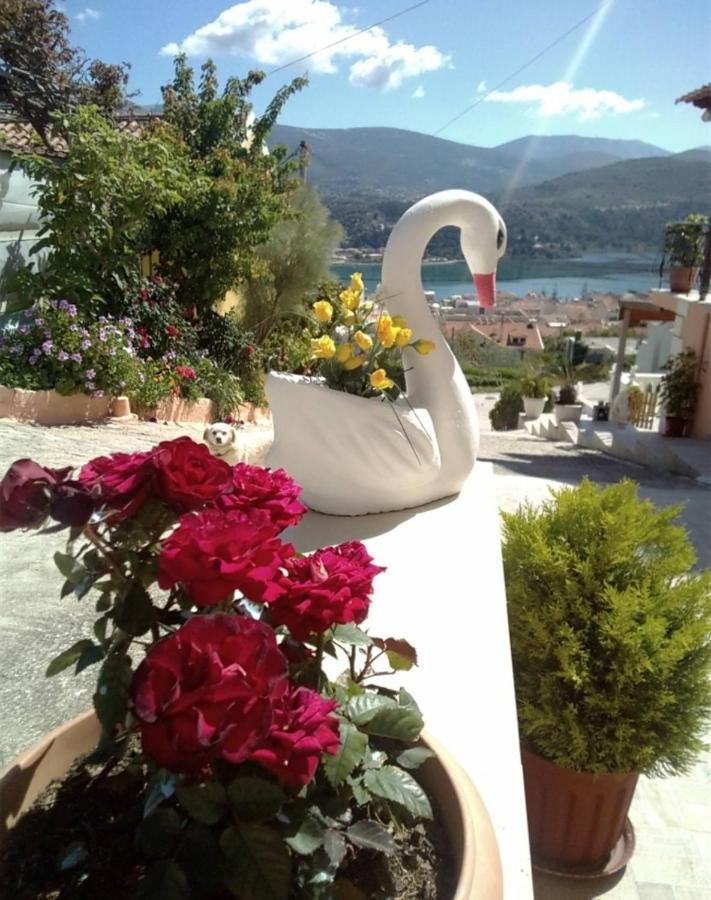Elenh House Apartment Argostoli  Luaran gambar
