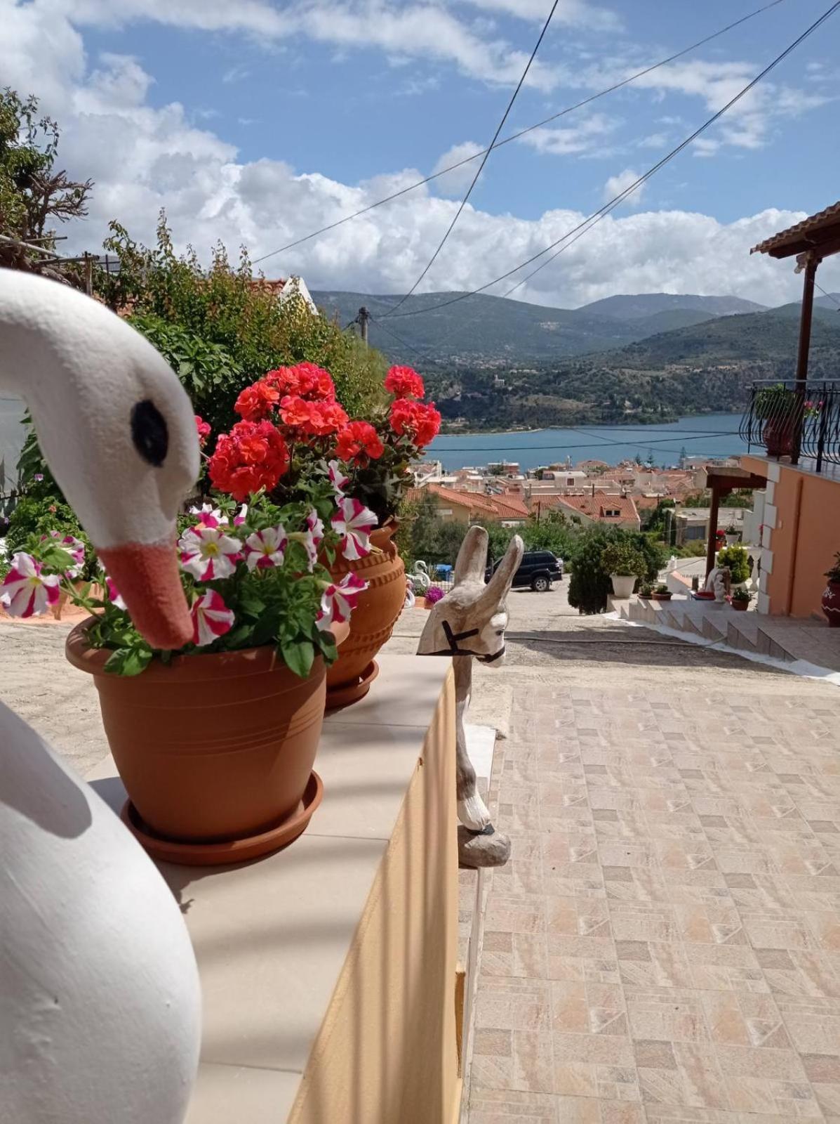 Elenh House Apartment Argostoli  Luaran gambar