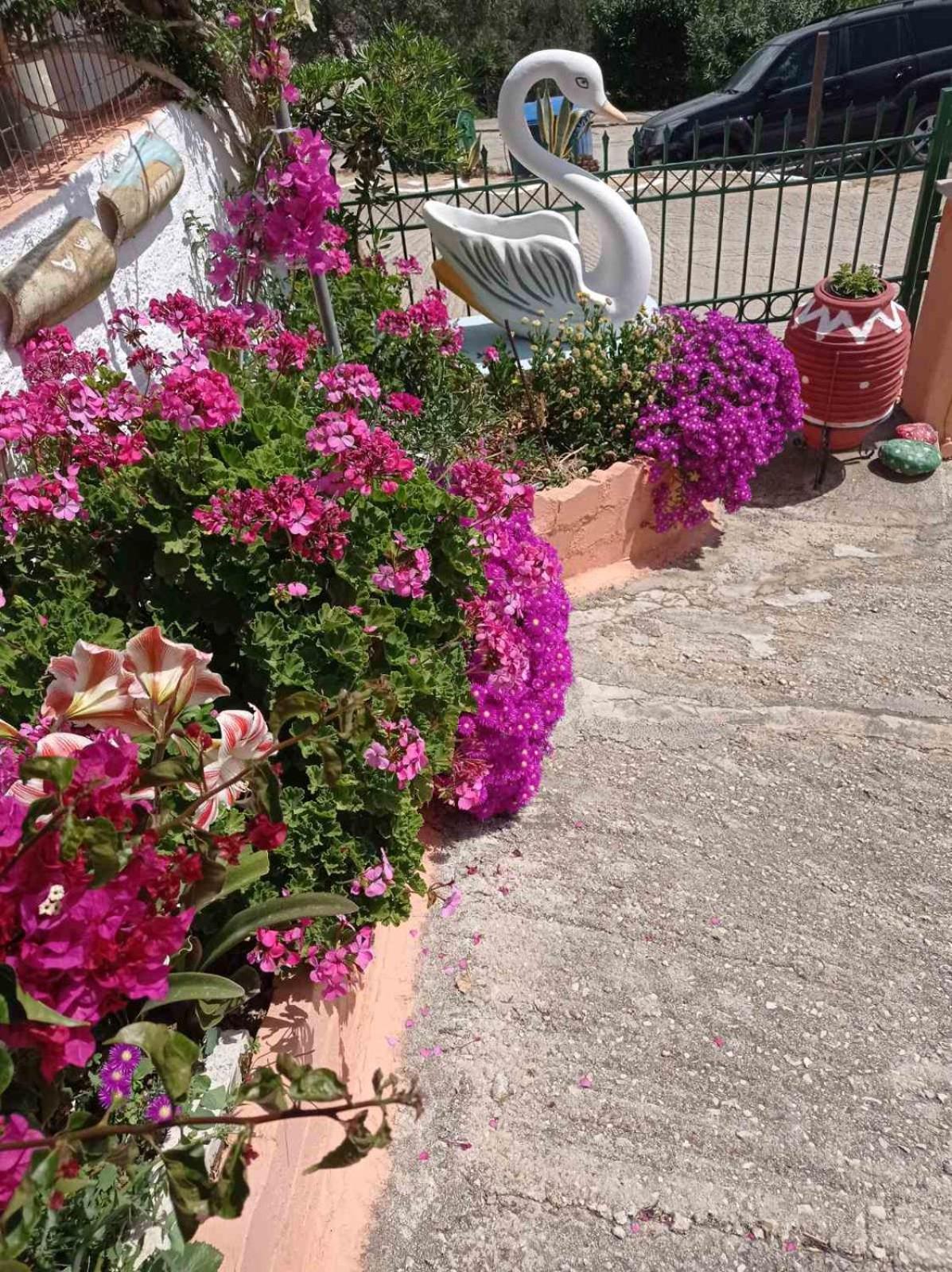 Elenh House Apartment Argostoli  Luaran gambar